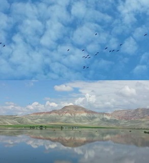 Nallıhan Kuş Cenneti- Çayırhan- juliopolis Antik Kenti