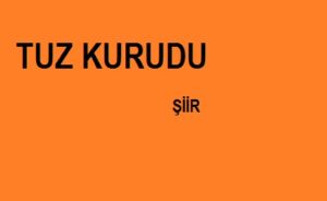 tuz kurudu