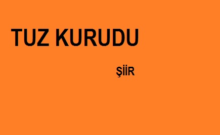 tuz kurudu