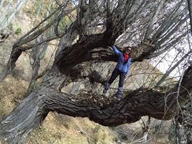 Güzeltepe-Aksak Köyü-Eğrekkaya Barajı