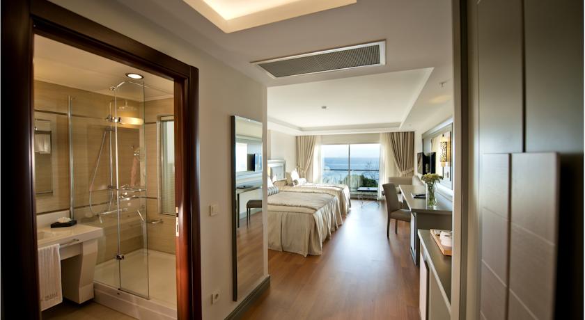 Atatürk’ün Ankara’ya Gelişi Hakkında