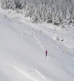 BOLU, ARAKLI, BÜRNÜK, KOLKÖY, GÖLCÜK YAYLALARI, GÜZELLER KÖYÜ