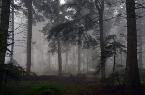 Bolu-Köroğlu Dağı – Müziğin Çaldığı Yer