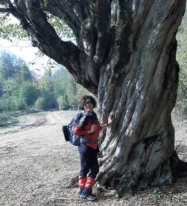 Yenice Ormanları Göktepe Yaylası ve Göleti