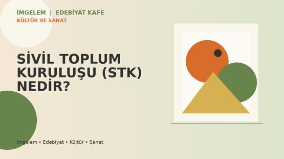 SİVİL TOPLUM KURULUŞU (STK) NEDİR?