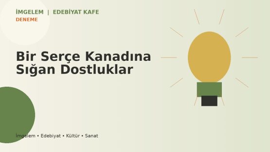 Bir Serçe Kanadına Sığan Dostluklar