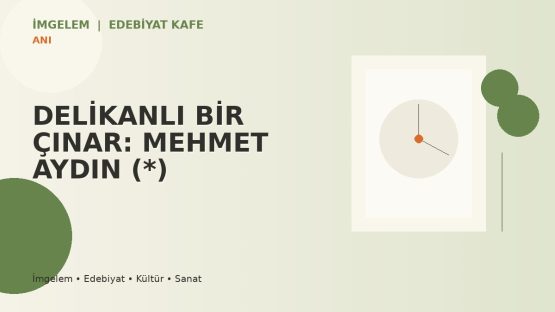 DELİKANLI BİR ÇINAR: MEHMET AYDIN (*)